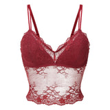 LingaDore - Daily Bralette Ruby Wine