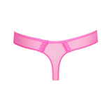 Primadonna - Vivgirl String Cactus Flower