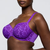 Primadonna - Mocuto Fullcup BH Italian Acai