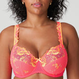 Primadonna - Devdaha Fullcup Bh Tropicana