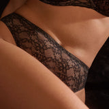 Primadonna - Livonia String Sort