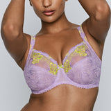 Primadonna - Ixia Fullcup Bh Wisteria