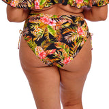 Elomi - Tiger Valley Bikini Maxi Sort