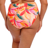 Elomi - Sancho Beach Bikini Tai Mango