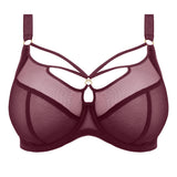 Elomi - Sachi Plunge Bh Cabernet