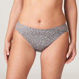 Primadonna - Cobble Hill Tai Trusse Fifties Grey