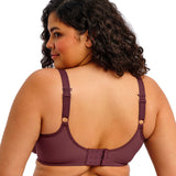 Elomi - Matilda Plunge Bh Sugarplum