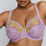 Primadonna - Ixia Fullcup Bh Wisteria