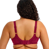 Elomi - Nerina Plunge Bh Rouge