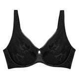 Triumph - Wild Rose Sensation Bh Sort