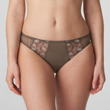 Primadonna - Lausanne Tai Trusse Golden Shadow