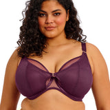 Elomi - Kintai Plunge Bh Blackberry