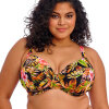Elomi - Tiger Valley Plunge Bikini Sort