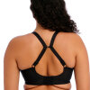 Elomi - Energise Sport BH Svart