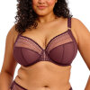 Elomi - Matilda Plunge BH Sugarplum